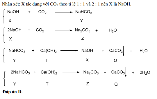 Phản Ứng Giữa NaHCO3 và Ca(OH)2 Tỉ Lệ 2:1